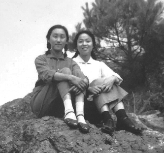 pagenumber_ebook=545,pagenumber_book=533