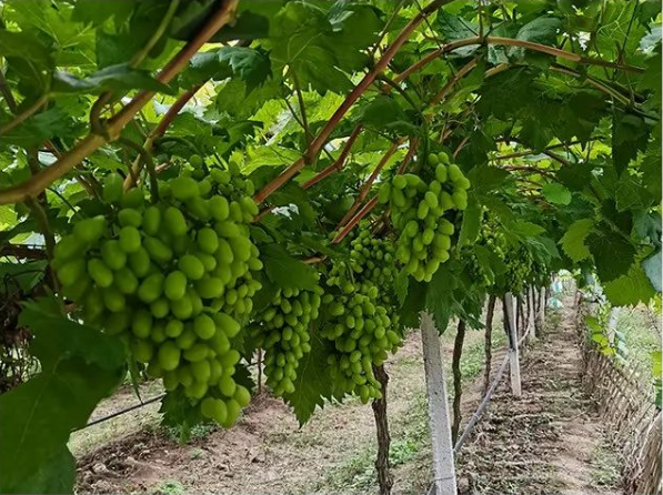 微信图片_20221001161909 微信图片_20221001161909.png