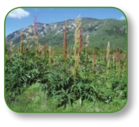 pagenumber_ebook=82,pagenumber_book=69