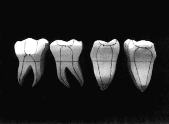pagenumber_ebook=215,pagenumber_book=206