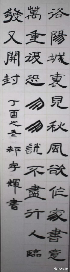 640.webp (46).jpg?v=1764880113128