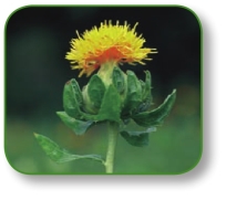 pagenumber_ebook=183,pagenumber_book=170