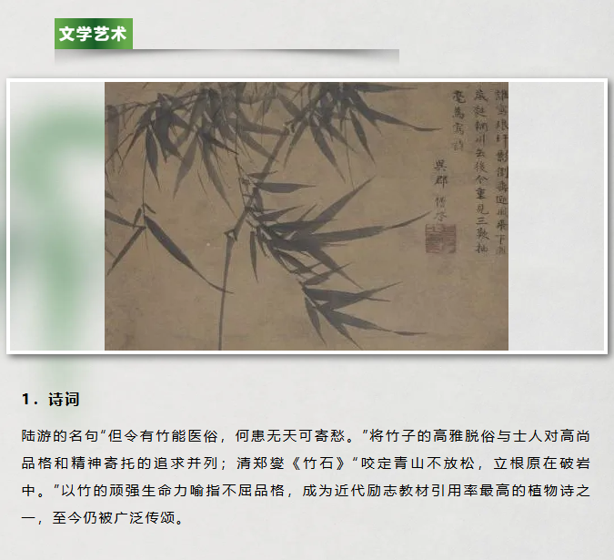 image.png?v=1762126139768