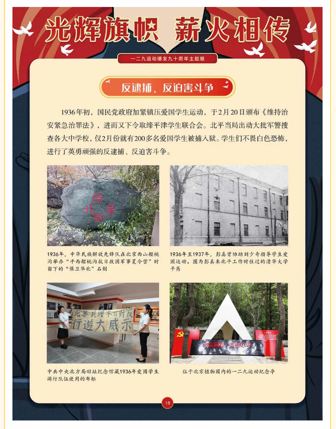 image.png?v=1762073881369