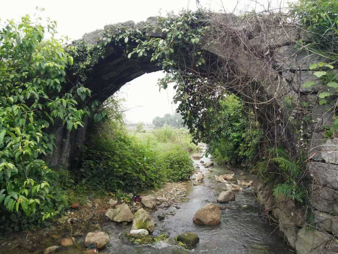 图片 18