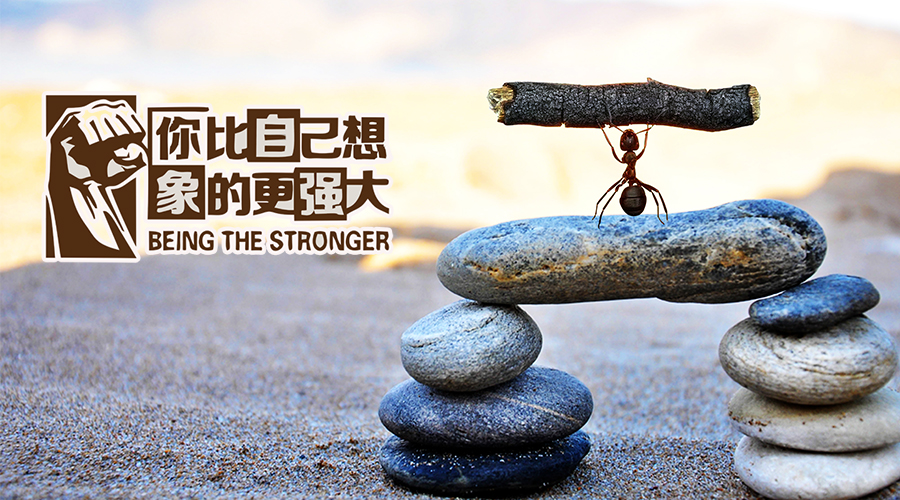 图片1 图片1.png?v=1774490098972