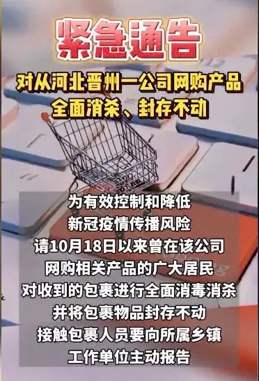 1 1.jpg?v=1765954261475