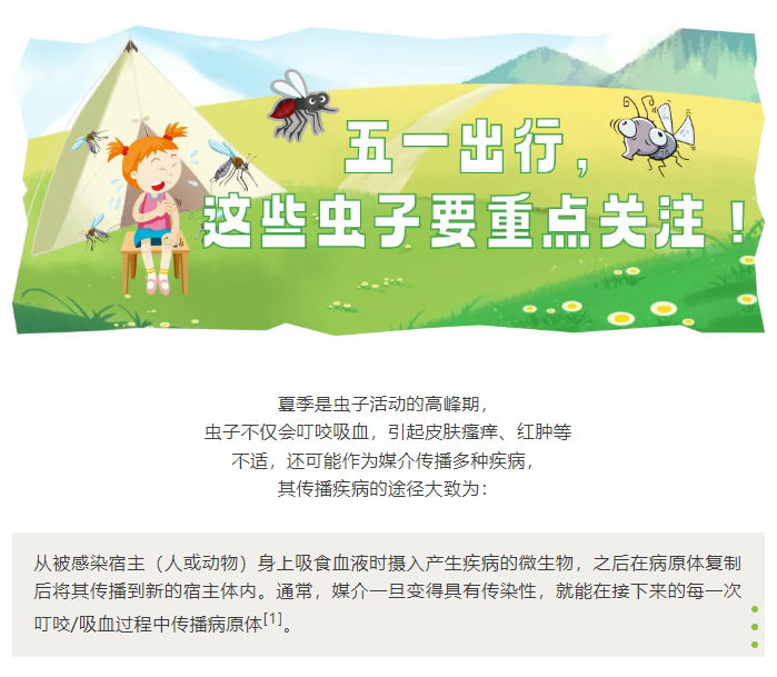 image.png?v=1751560565524