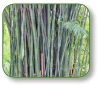 pagenumber_ebook=210,pagenumber_book=197