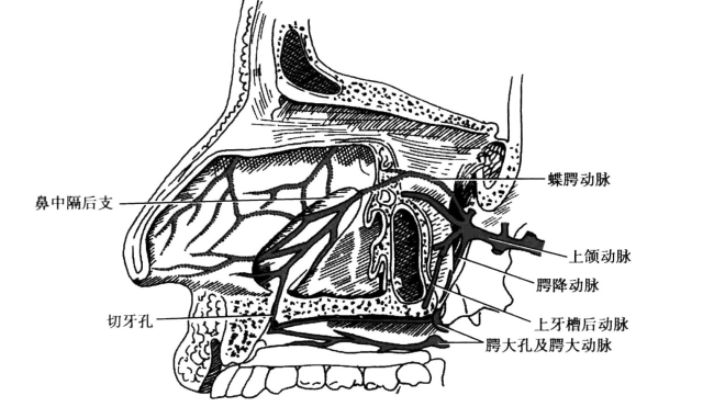 pagenumber_ebook=81,pagenumber_book=72
