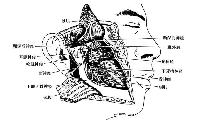 pagenumber_ebook=93,pagenumber_book=84
