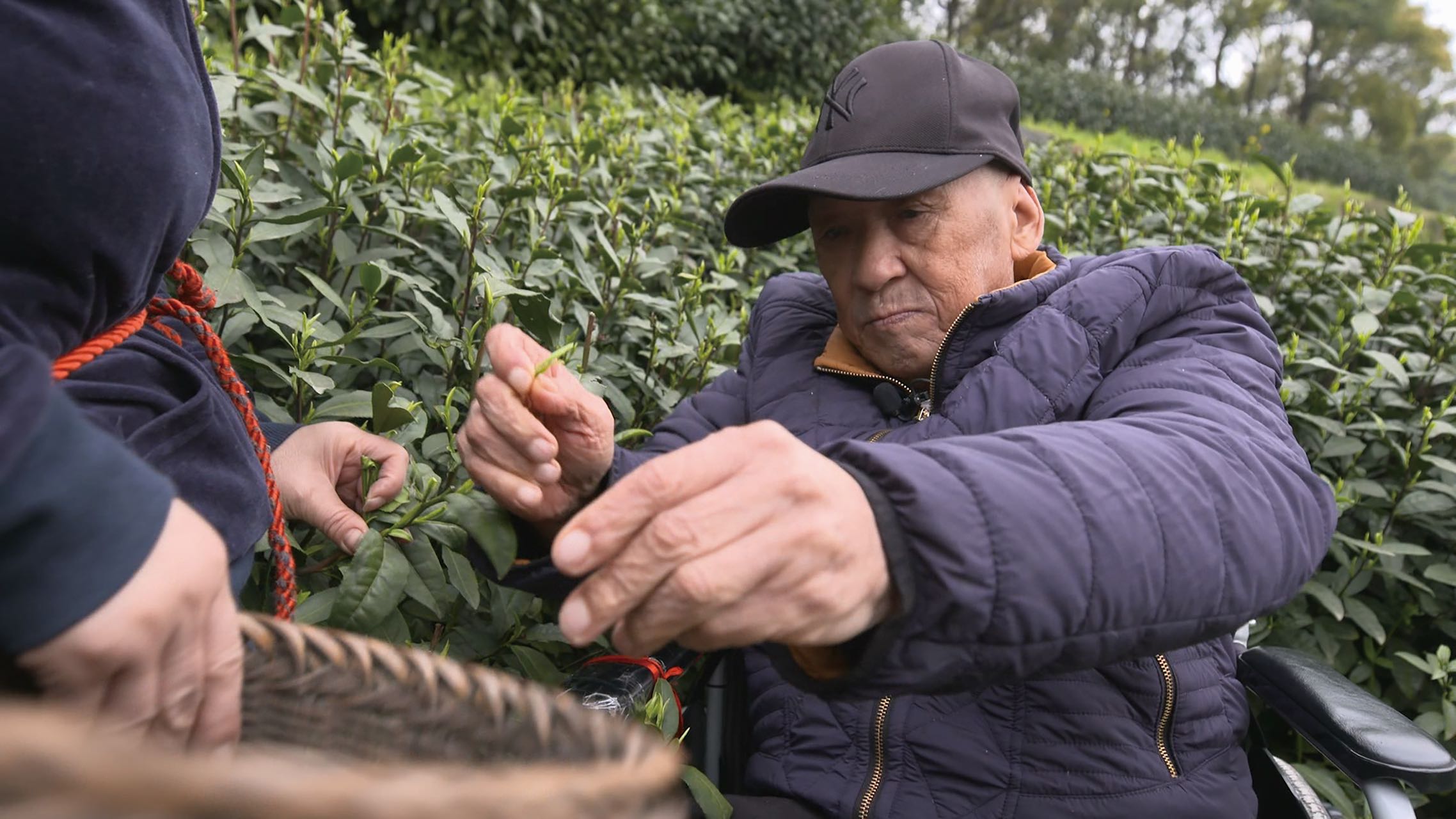 bd37fe8012fe3cdfb649c1b5dd66672 bd37fe8012fe3cdfb649c1b5dd66672.jpg?v=1765598053028