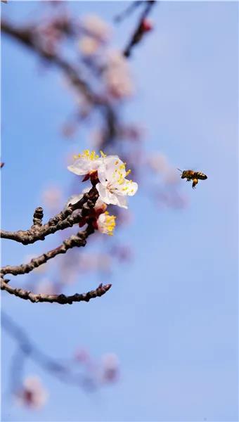 微信图片_20210318082651