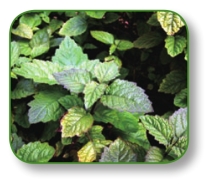 pagenumber_ebook=105,pagenumber_book=92