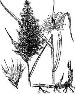 pagenumber_ebook=241,pagenumber_book=241