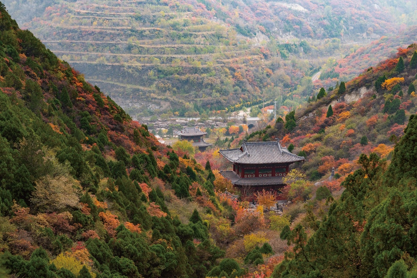 微信图片_20190520092826 微信图片_20190520092826.jpg