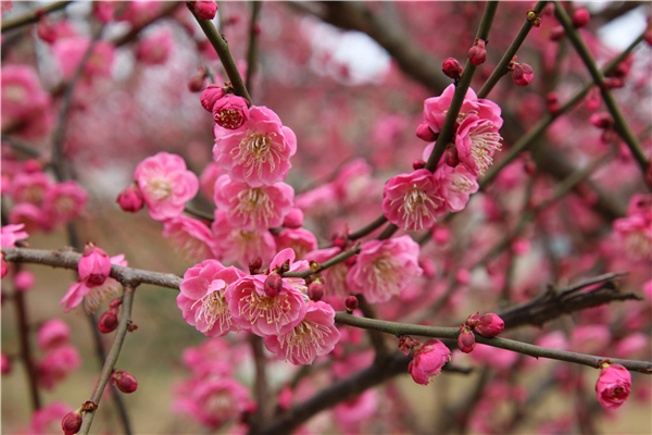 IMG_5771 IMG_5771.jpg