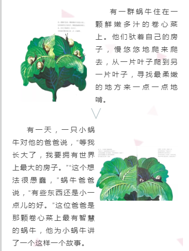 2 2.png?v=1772869187291