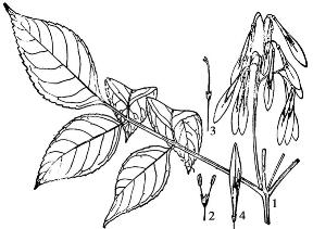 pagenumber_ebook=93,pagenumber_book=93