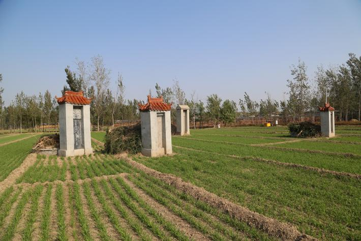图片13