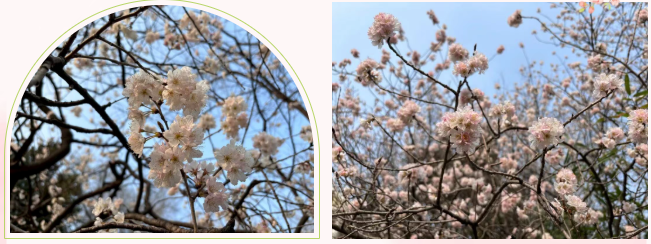 3aa00c756a150c8cc0d57ae52eac1c72 3aa00c756a150c8cc0d57ae52eac1c72png