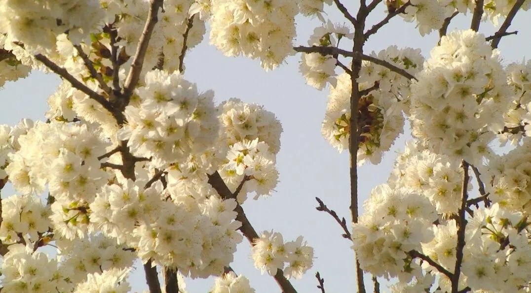 微信图片_20230310150518