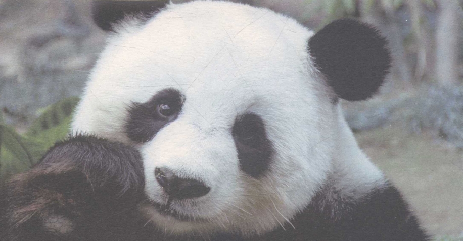 pagenumber_ebook=172,pagenumber_book=158