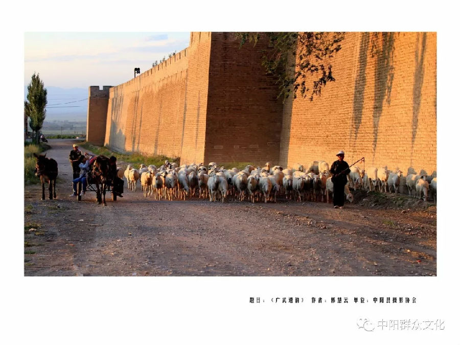 640.webp (27).jpg?v=1764880118725