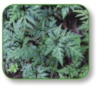 pagenumber_ebook=46,pagenumber_book=33