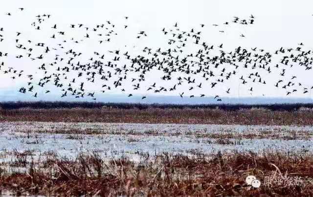 f835804015730b08cb732554e402f56 f835804015730b08cb732554e402f56.jpg