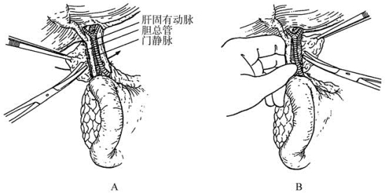 pagenumber_ebook=335,pagenumber_book=320