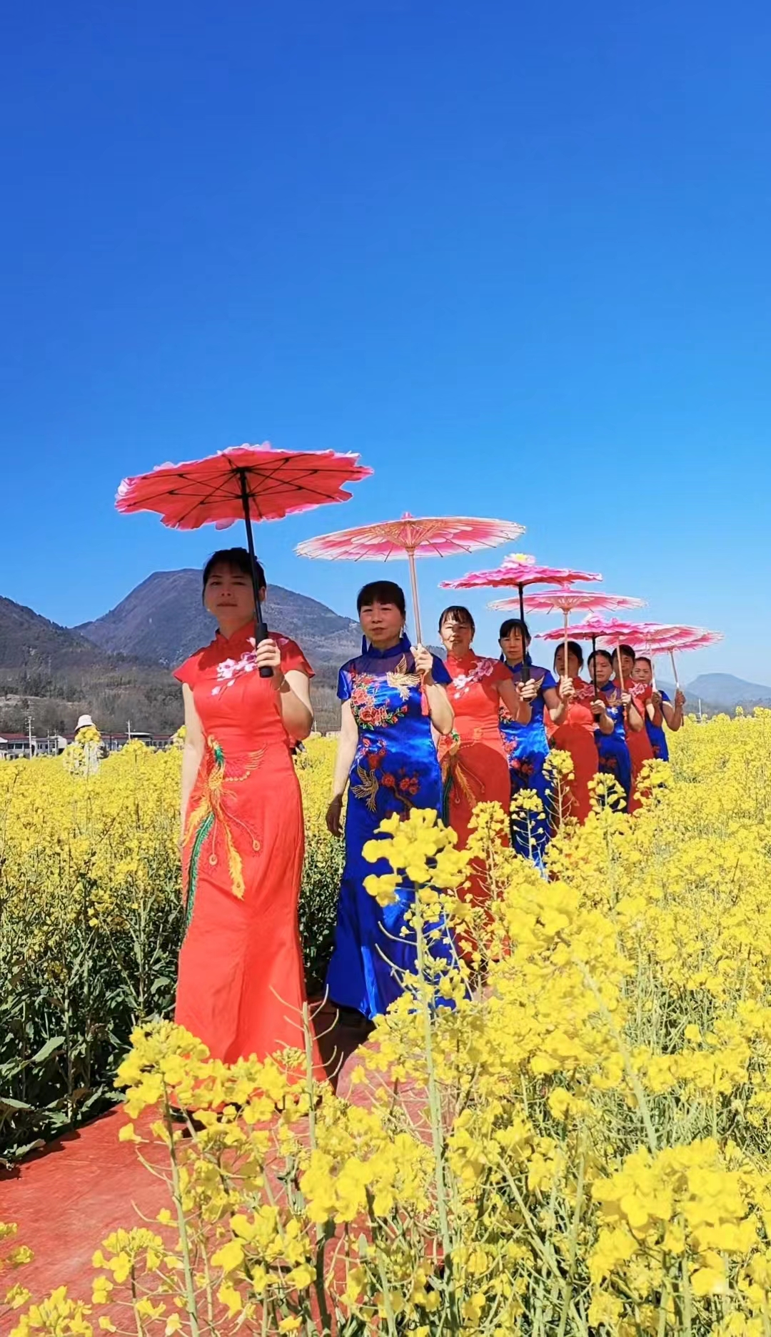 重阳2.jpg
