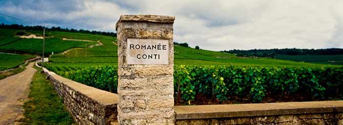 勃艮第产区-Domaine-de-la-Romane-Conti酒庄.jpg