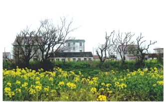 pagenumber_ebook=43,pagenumber_book=28