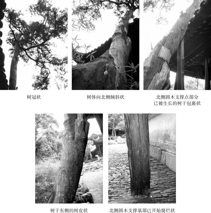 pagenumber_ebook=90,pagenumber_book=90