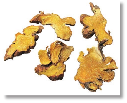 pagenumber_ebook=65,pagenumber_book=52