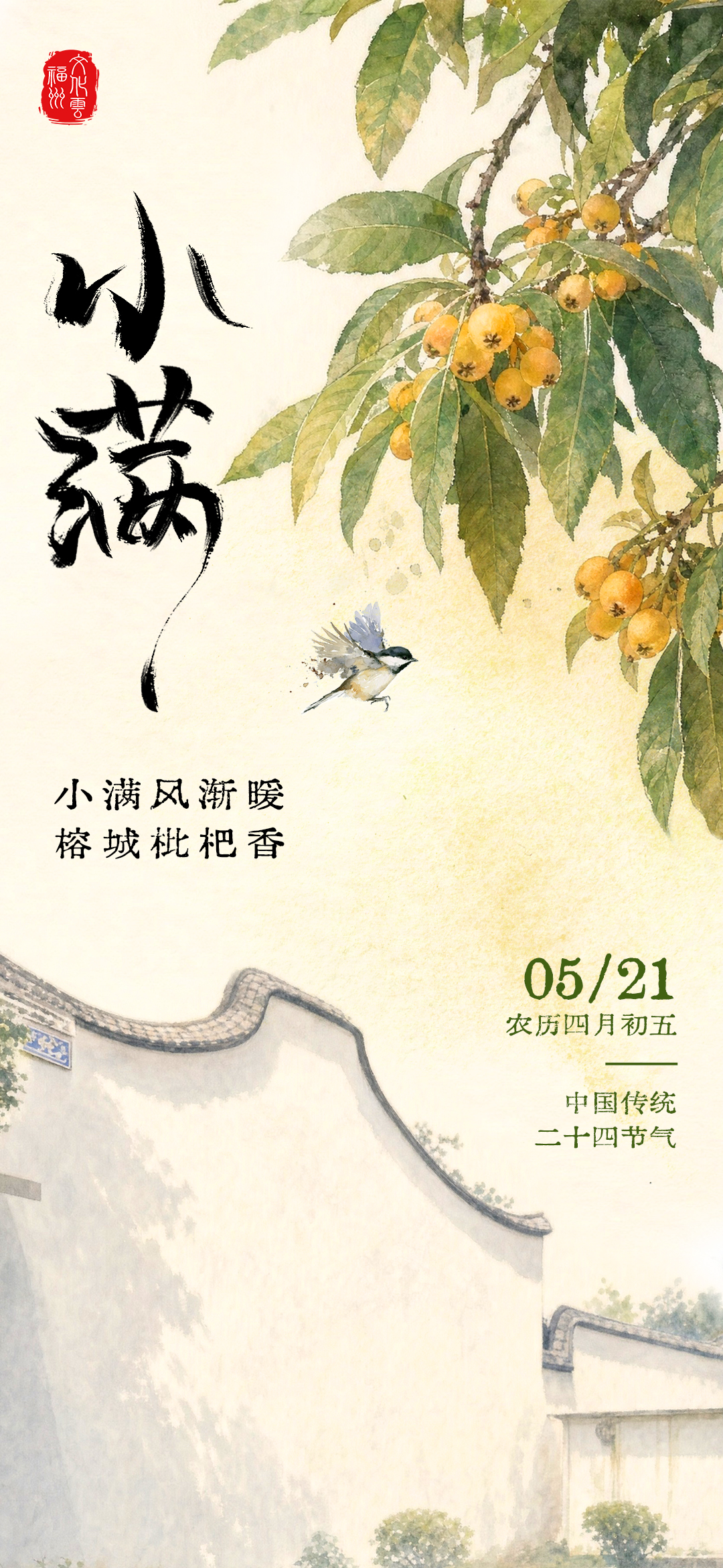 20260521【小满】小满风渐暖，榕城枇杷香2jpg