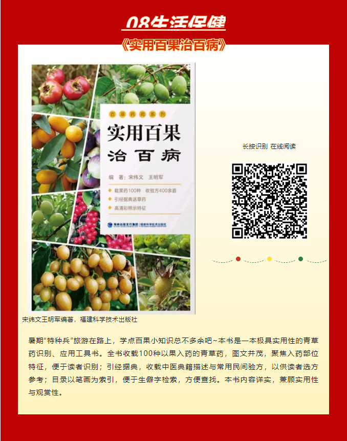 image image.png?v=1763574248968