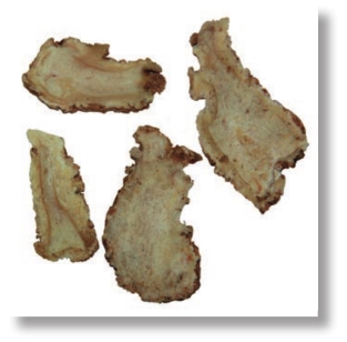 pagenumber_ebook=274,pagenumber_book=261