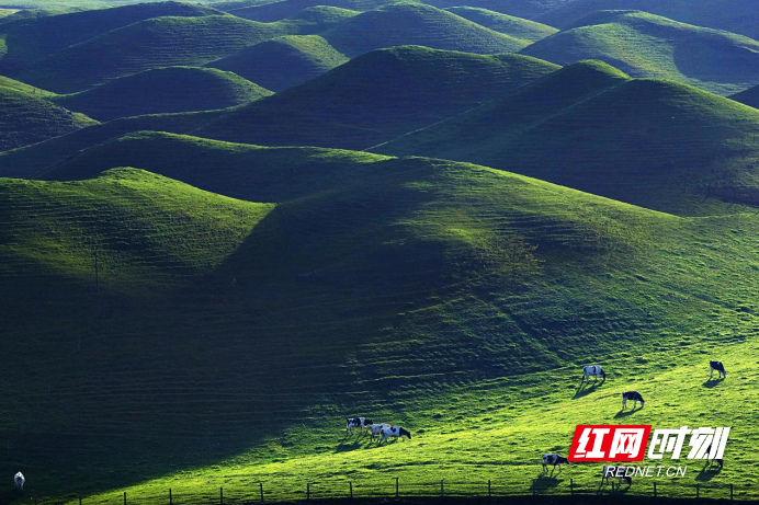 微信图片_20220519205111 微信图片_20220519205111.png