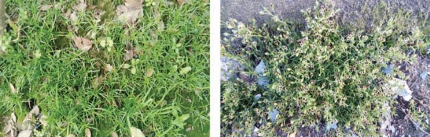 pagenumber_ebook=154,pagenumber_book=146