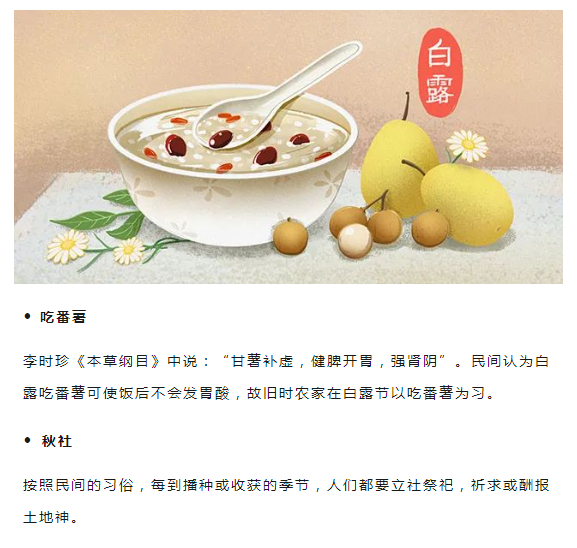 image.png?v=1750240919778