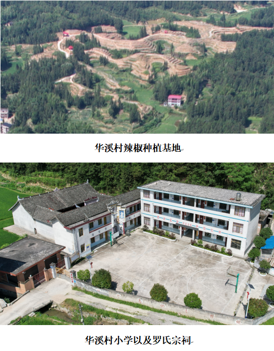 1732350507862 1732350507862.png