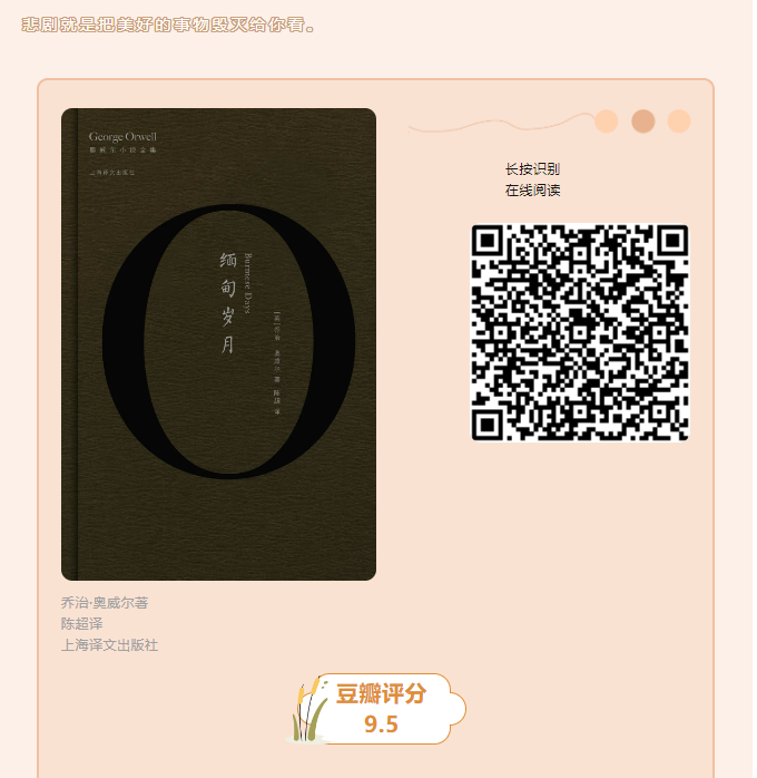 image image.png?v=1763579421957