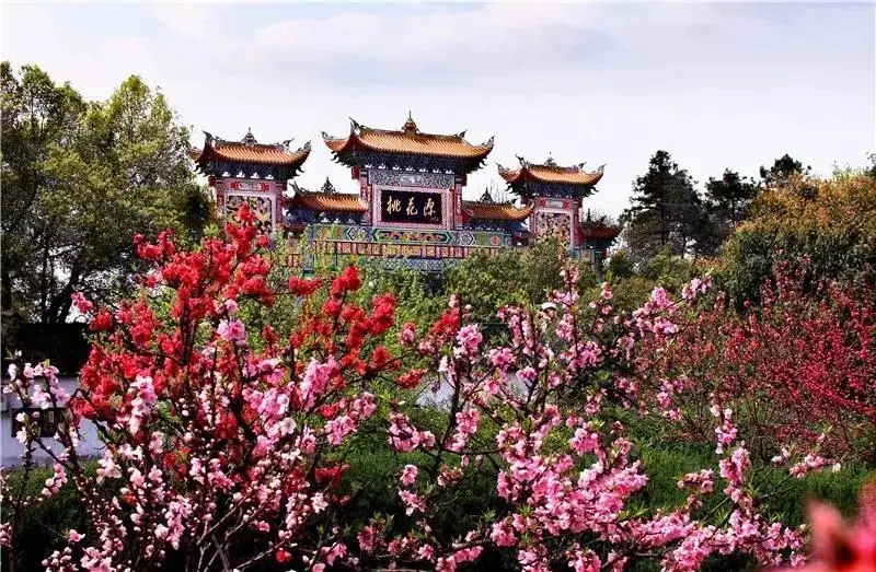 2222.webp 2222.webp.jpg