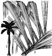 pagenumber_ebook=119,pagenumber_book=119