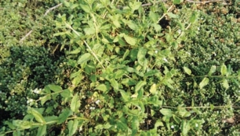 pagenumber_ebook=153,pagenumber_book=145