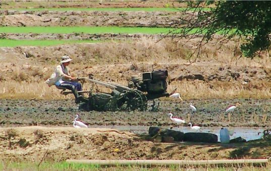 pagenumber_ebook=139,pagenumber_book=122