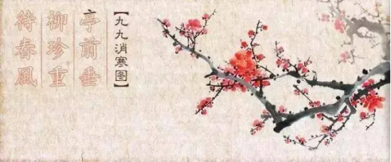 image.png?v=1757814706014