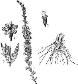 pagenumber_ebook=238,pagenumber_book=238